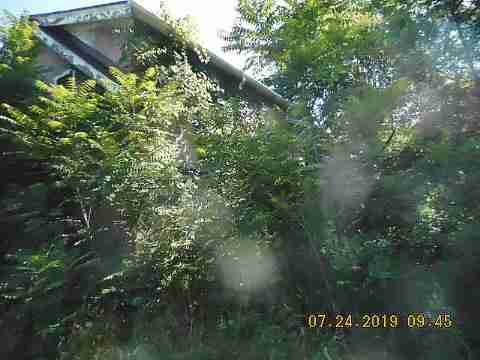 81 W Montana (4)_m.jpg